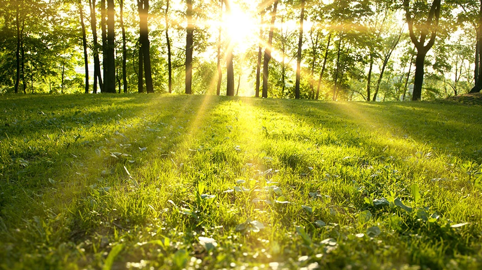 Green IT Wasserkraft im Rechenzentrum der MK Netzdienste